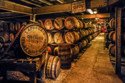 Whisky von Whisky Chamber, Springbank und Macallan bei Scotch Sense